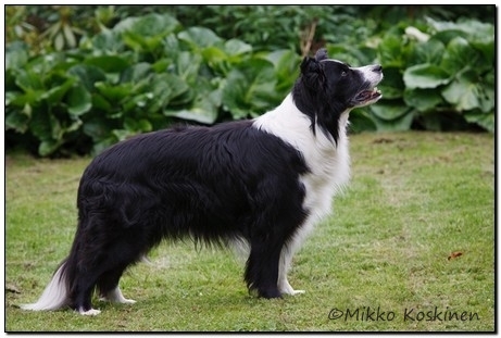 20130714-IMG_2351_rio_450